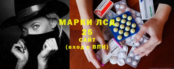 гашик Арсеньев