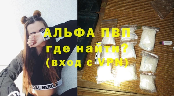 гашик Арсеньев