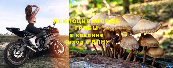 гашик Арсеньев