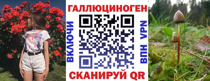 Галлюциногенные грибы MAGIC MUSHROOMS  сколько стоит  Салаир 